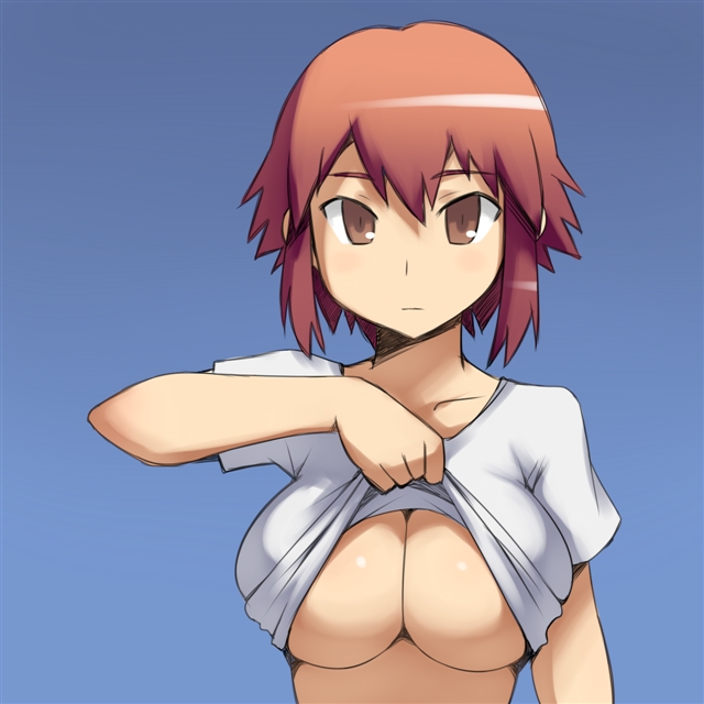 :| aaaa breasts brown_eyes brown_hair cleavage closed_mouth large_breasts original shirt_lift short_hair solo underboob