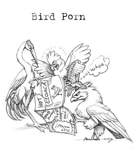 avian bird_of_paradise bird_porn cloaca eagle group heron magazine megan_giles parody parrot porn