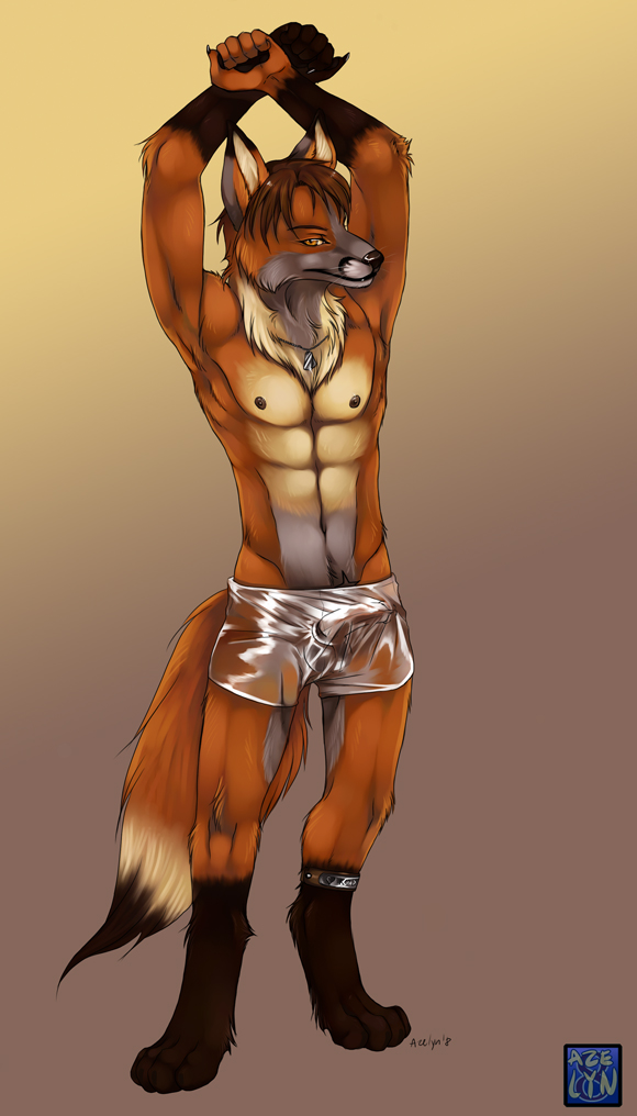 azelyn boxers bulge canine dog_tags fox male outline penis seethrough_underwear solo stretching underwear