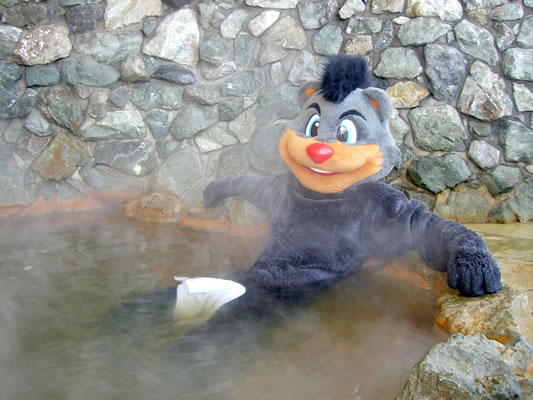 fursuit human photo real solo spring_bath