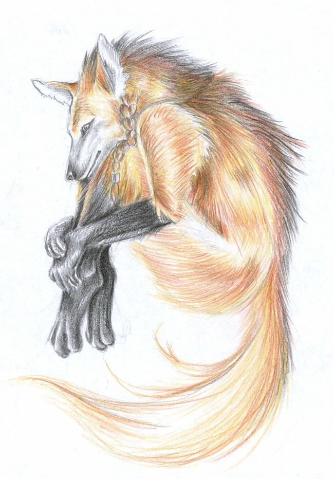 canine maned_wolf nalavara nude solo wolf