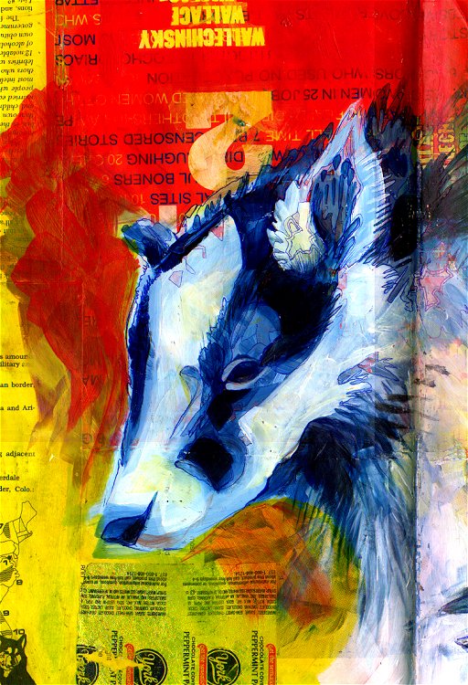 allison_reed badger collage feral head java paint portrait