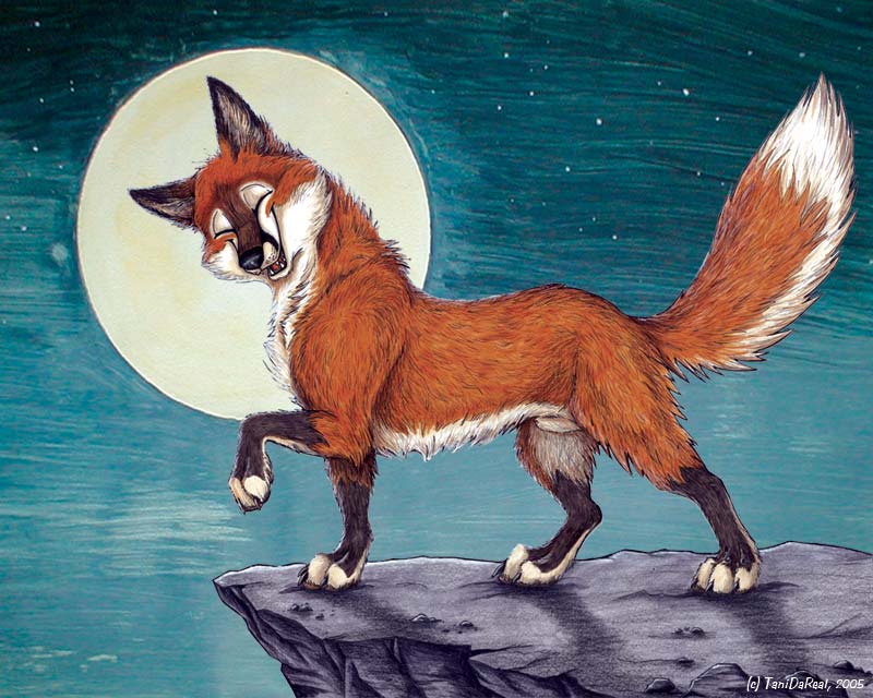 canine cute feral fox male moon nude sheath solo tail tani_da_real