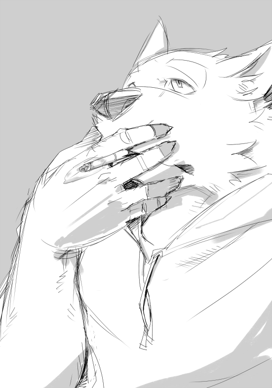 canine male smoking solo syukouakanaru wolf