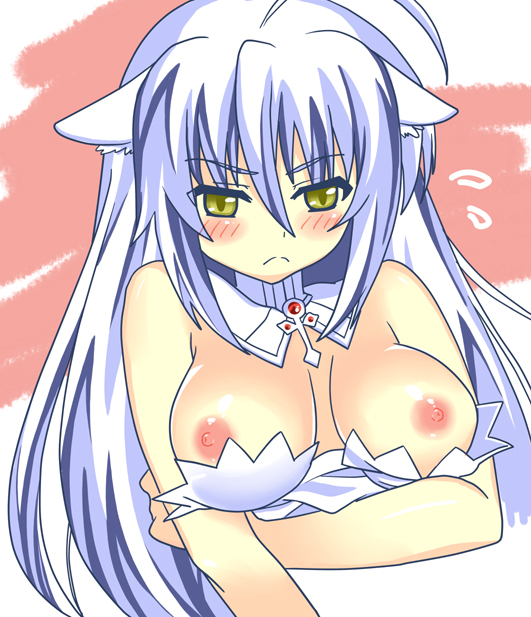 animal_ears bare_shoulders blush breasts cat_ears dog_days female large_breasts leonmitchelli_galette_des_rois long_hair nipples solo white_hair yellow_eyes