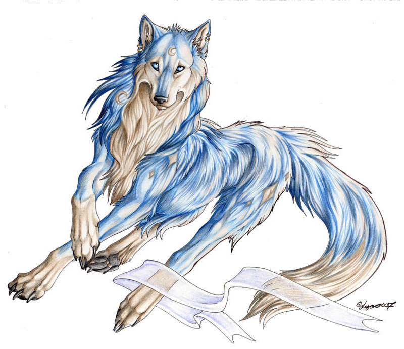 blue canine female lyanti moon ribbons solo