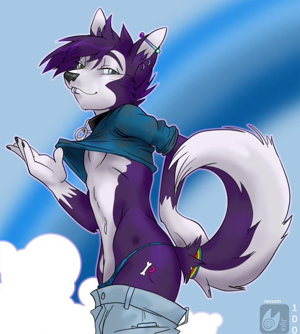 blue_eyes canine collar dog hair husky jijix looking_at_viewer male markings pants pants_down pants_pull piercing purple purple_hair raised_tail ransom shirt_lift short_hair short_purple_hair solo standing tail tail_band wolf