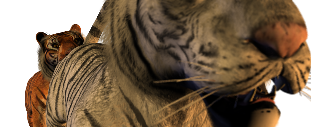 2009 3d alpha_channel anal eyes_closed feline feral gay looking_at_viewer male open_mouth oral orange orange_eyes raised_tail rimming siberian_tiger spanking_(artist) tail tiger white