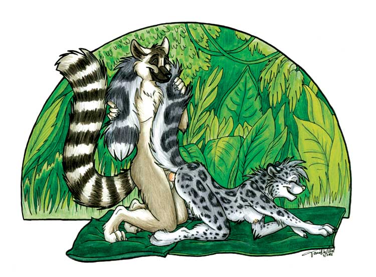 breasts couple doggy_position feline female lemur male ringtailed_lemur scarf sex snow_leopard straight tail tani_da_real