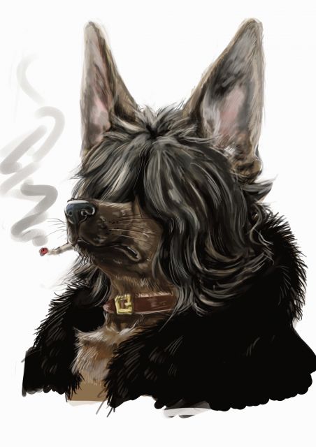 cigarette collar dog male mammal plain_background portrait purupurupurupuru solo white_background