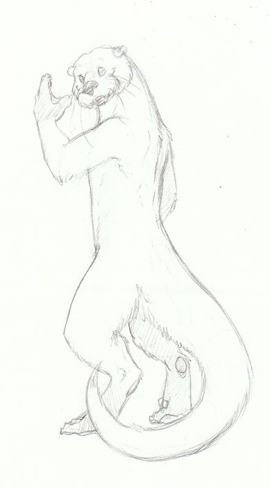 fur hindpaw male nude otter otterface paws portrait pose reed sefeiren sketch solo tail webbed whiskers