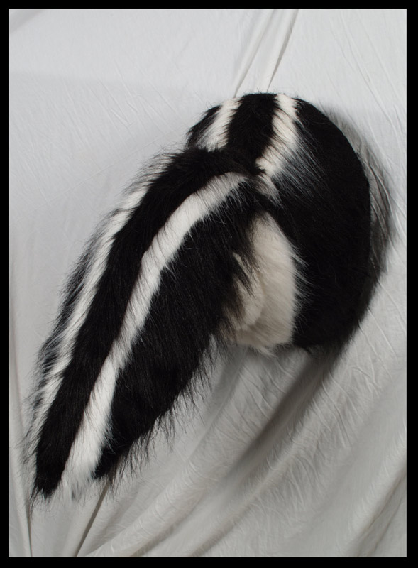 creepy feral photo real sex_toy skunk what what_has_science_done willowfox