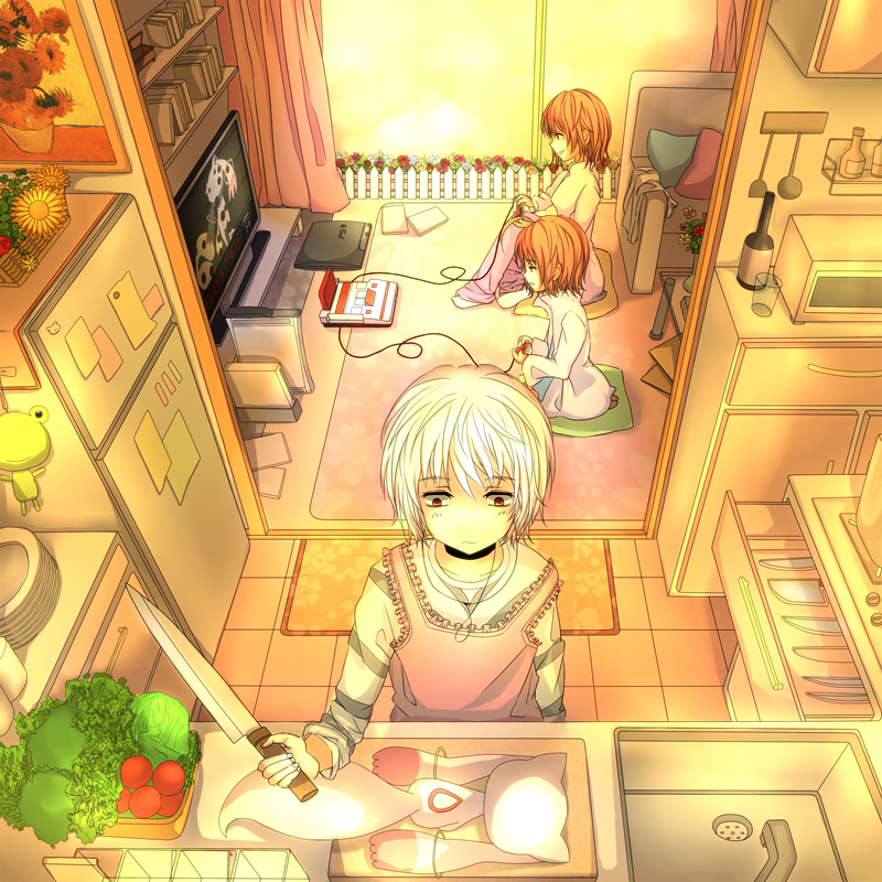 2girls accelerator apron bad_id bad_pixiv_id bottle controller couch crossover cutting_board famicom game_console game_controller gekota knife kyubey last_order lettuce mahou_shoujo_madoka_magica misaka_worst multiple_girls pillow playstation_3 pockee red_eyes refrigerator shirt side_slit sink spoilers striped striped_shirt television to_aru_majutsu_no_index tomato vietnamese_dress white_hair wii xbox_360