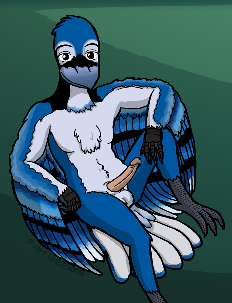 avian blue_jay feathers homer_simpson huge penis solo svet tailfeathers tall travis wings