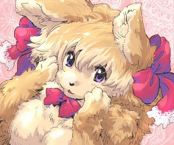 canine cute female ribbons solo t_dattari-pix