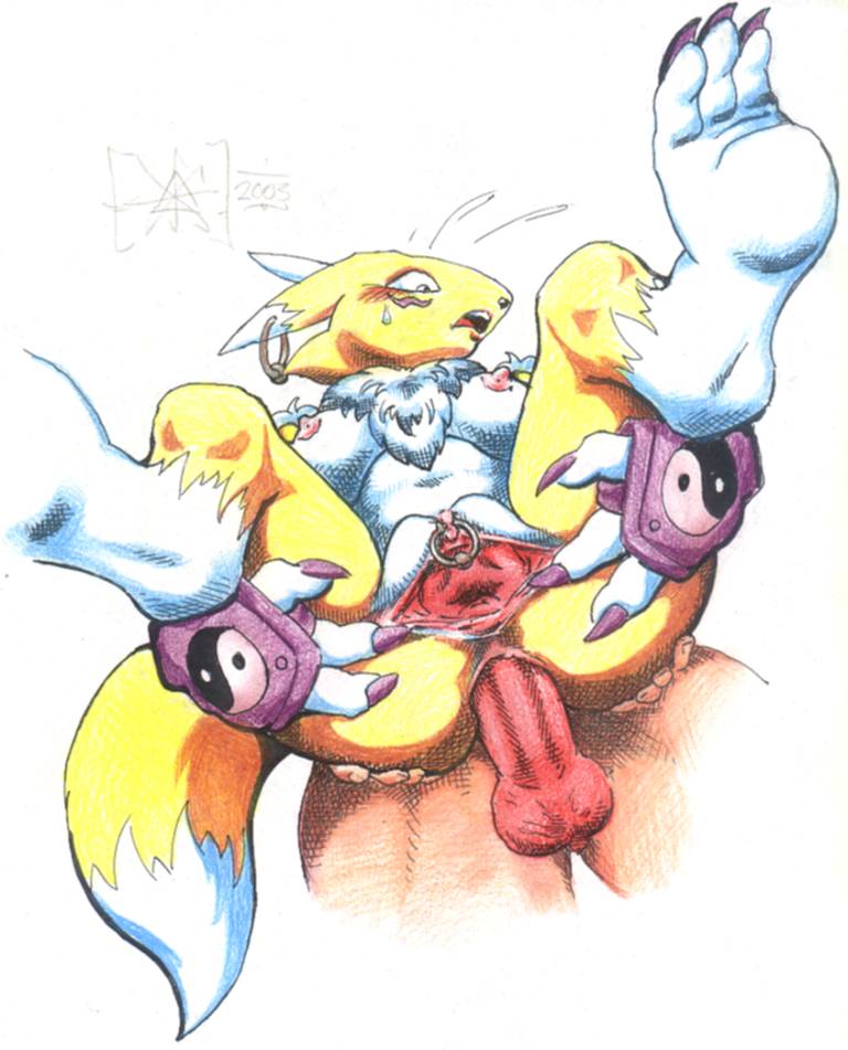 anal anal_penetration blush breasts canine chest_tuft curled_up digimon digitigrade female fox from_below gaping hindpaw human interspecies male penetration penis piercing pov pussy renamon sawblade sex spread_legs spreading straight surprise_buttsex sweatdrop