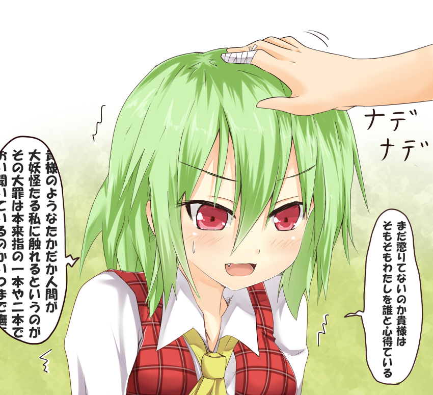ascot bandages blush efe face fang green_hair kazami_yuuka out_of_frame petting plaid plaid_vest red_eyes solo_focus touhou translated tsundere vest
