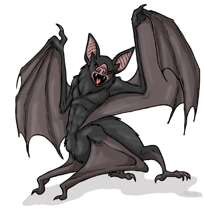 bat jax_the_bat solo taur what