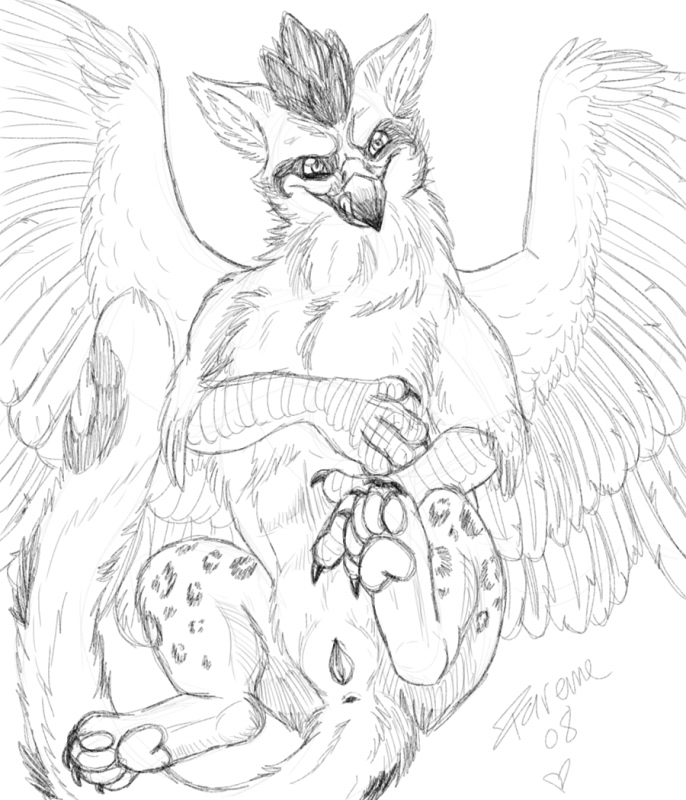 2008 anus avian female feral goldenfox gryphon pussy sketch solo