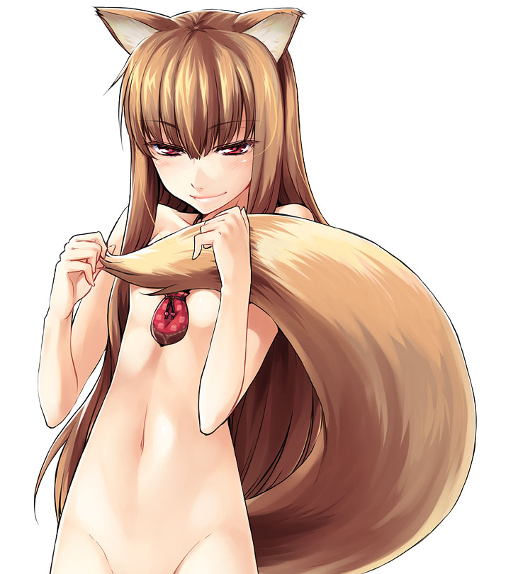 animal_ears breasts brown_hair canine covering_self female hair hentai horo long_brown_hair long_hair looking_at_viewer necklace nude ookami_to_koushinryou ookamimimi red_eyes solo standing tail unknown_artist wolf wolfgirl