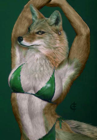 bikini canine coyote eric_elliott female iisaw muscles photorealism photoshop skimpy solo
