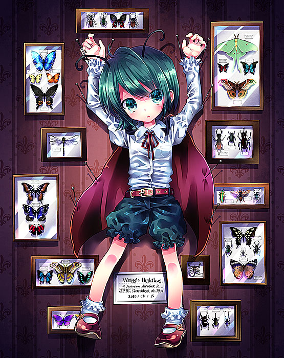 belt bobby_socks bug insect kiyose_akame mary_janes moth pinned shoes socks solo touhou wriggle_nightbug