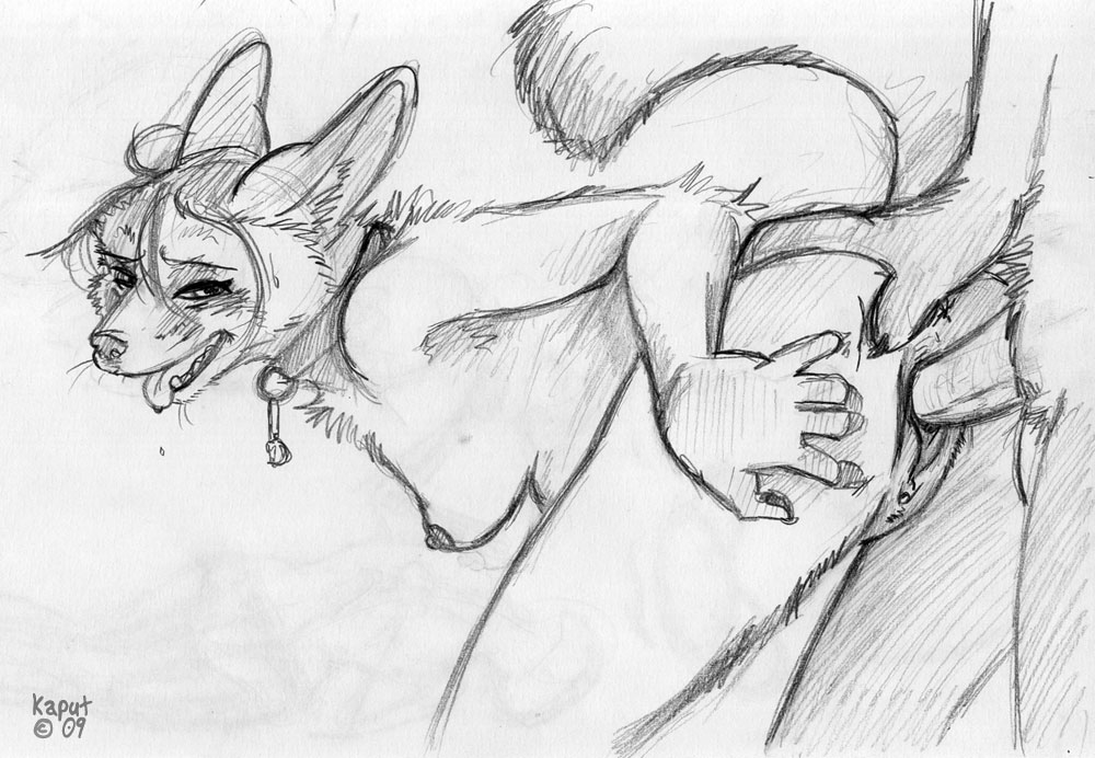 2009 balls breasts canine clitoris close-up collar female fox from_behind kaputotter looking_at_viewer male nude penetration penis pussy raised_tail sex side_boob sketch spread_pussy spreading straight tail vaginal vaginal_penetration