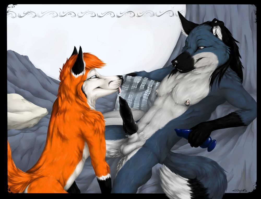 balls black_cock black_hair black_penis canine duo erection eye_contact facial_piercing fox fur gay hair looking_at_each_other male mammal nipple_piercing nipples nose_piercing pattern penis piercing pillow precum sex_toy tail truegrave9 wolf wuffamute y-foxy