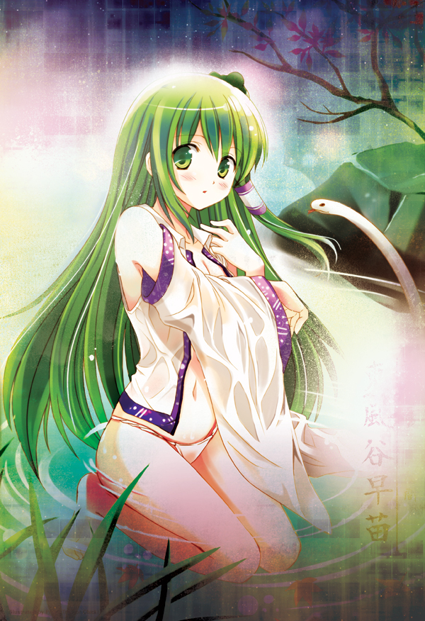 barefoot detached_sleeves frog green_eyes green_hair hair_ornament kneeling kochiya_sanae long_hair no_pants piyo_(trick_or_chick) snake solo touhou water wet wet_clothes