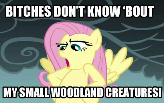 fluttershy friendship_is_magic image_macro my_little_pony tagme