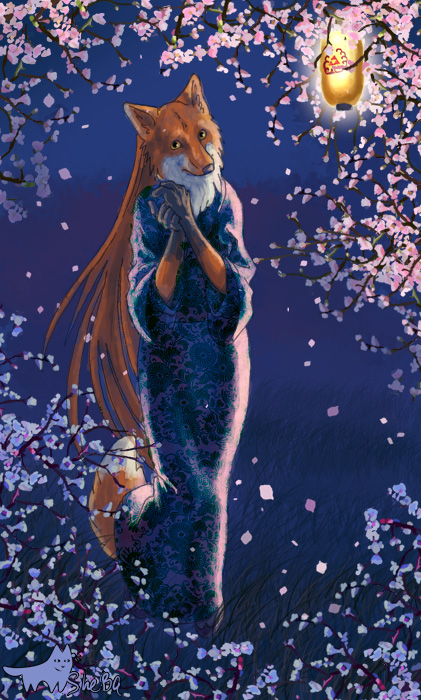 canine cherry_blossom classy dress female fox lantern night sheba-wolf solo uncertain walking wind