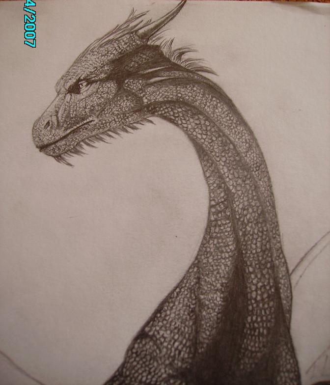 dragon eragon female feral saphira scalie sketch solo unknown_artist wings