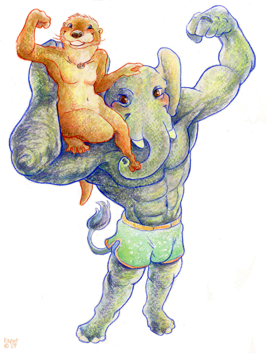 bulge couple elephant female flex kaputotter male nude otter pose shorts shoulders_of_giants size_difference straight whiskers
