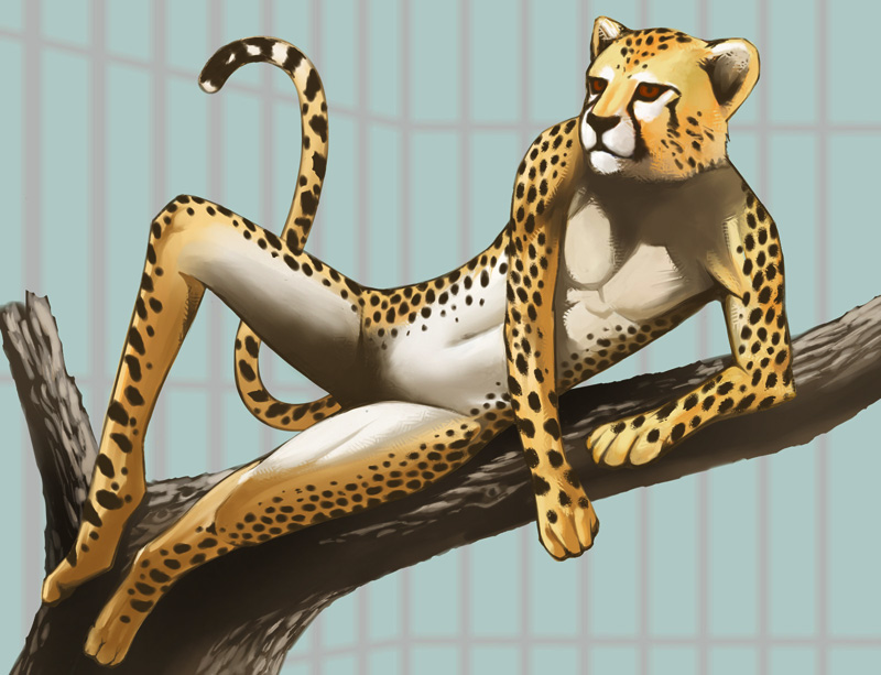 caged cheetah feline janome-gotyou male nude solo what