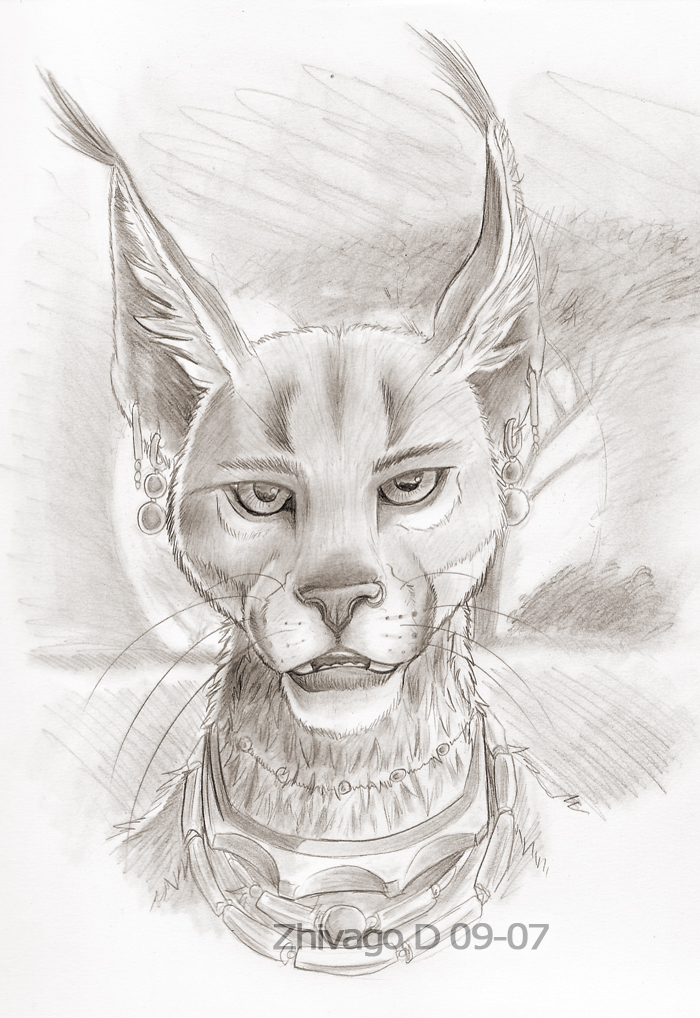 caracal feline lynx piercing portrait solo zhivagod