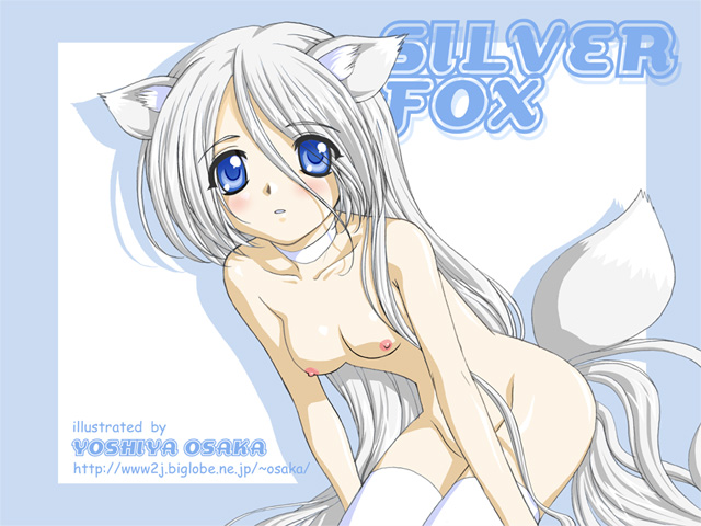 animal_ears blush breasts canine collar female fox foxgirl hair hentai kemonomimi kitsunemimi long_hair long_white_hair looking_at_viewer solo tail thigh_highs unknown_artist white_hair