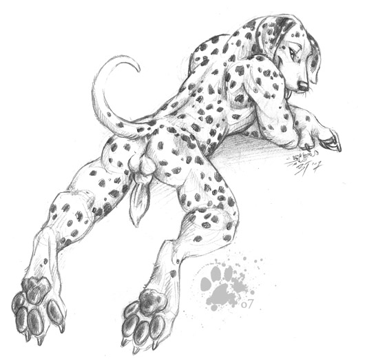 blotch butt canine canine_penis dalmatian dog hindpaw invalid_tag male penis sketch solo