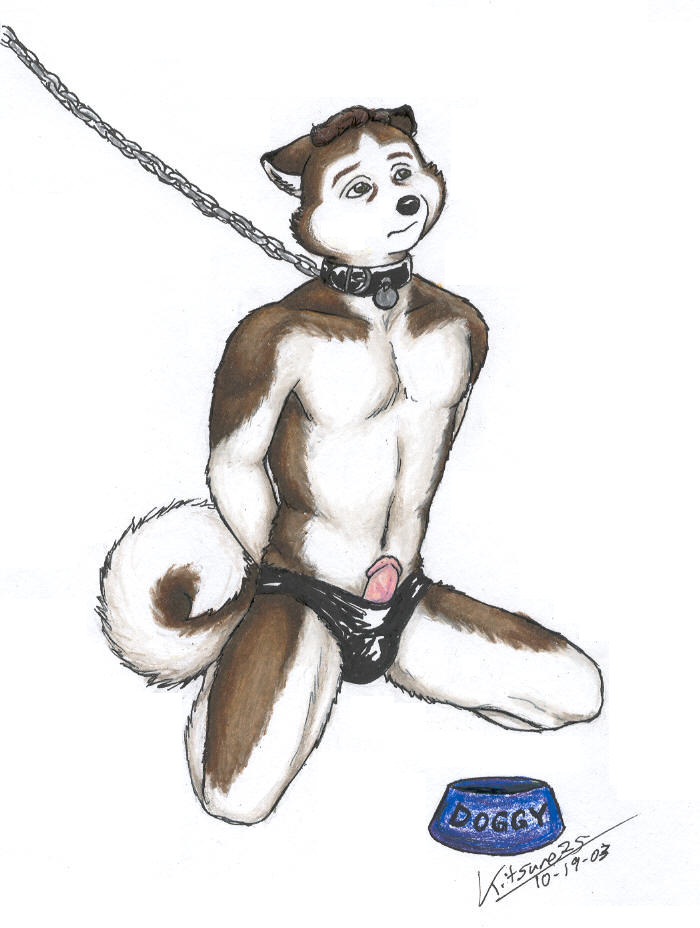 bdsm bondage canine collar dog fetish g-sting husky leash male penis rubber slave solo