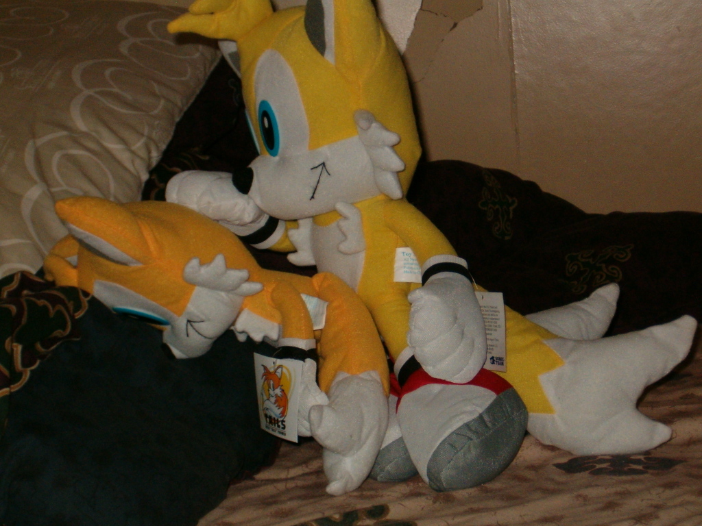 canine fox miles_prower photo plushie real sonic_(series)