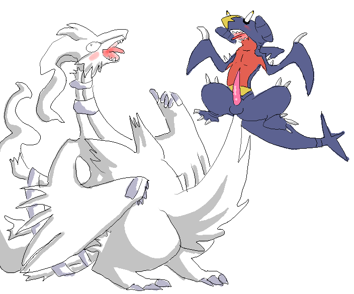 garchomp pokemon reshiram tagme