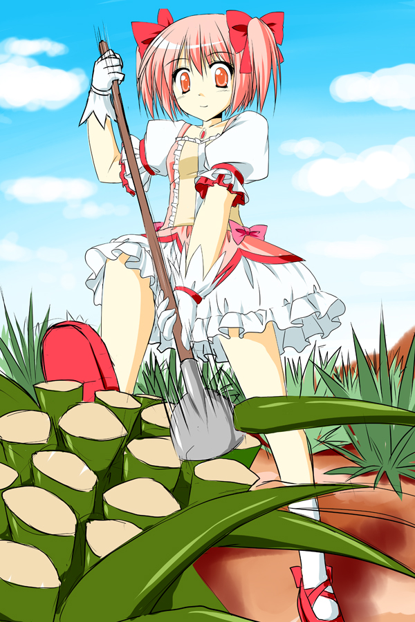 agave cloud day dress frills gloves kamiya_tomoe kaname_madoka magical_girl mahou_shoujo_madoka_magica mary_janes pink_eyes pink_hair plant puffy_sleeves shoes short_hair short_twintails sky smile solo twintails white_gloves