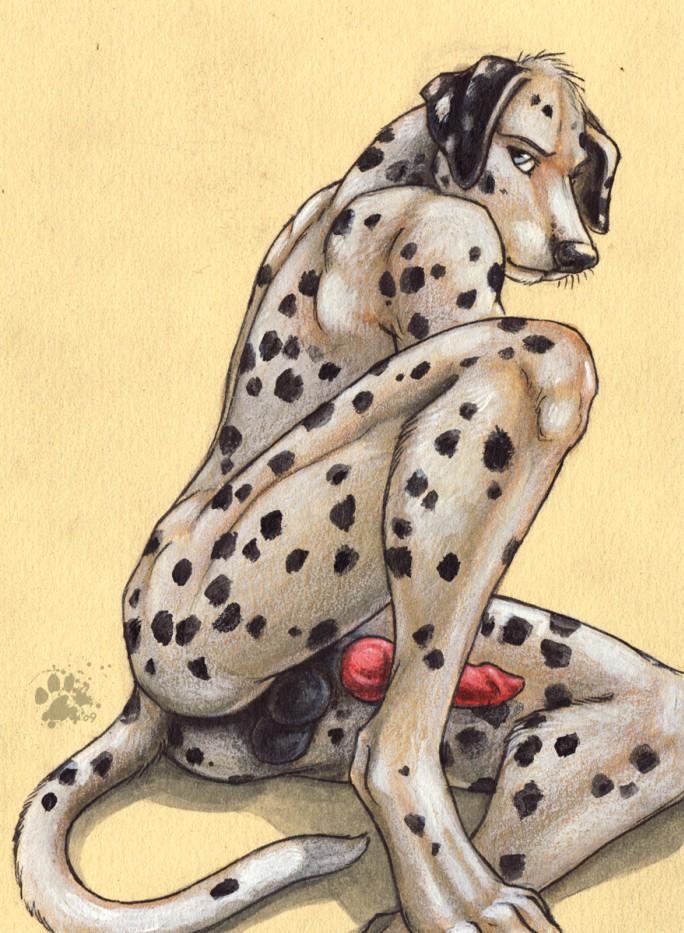 anthro balls barefoot black_fur black_nose black_skin blotch blue_eyes butt canine canine_penis dalmatian dog erection fur knot male mammal nude pawpads paws penis plain_background pose presenting presenting_hindquarters red_penis red_skin shadow shiny sitting solo spots white_background white_fur yellow_background