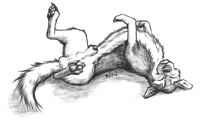 balls canine dog eyes_closed feral male on_back penis sheath sketch solo spread_legs spreading wolf wuf