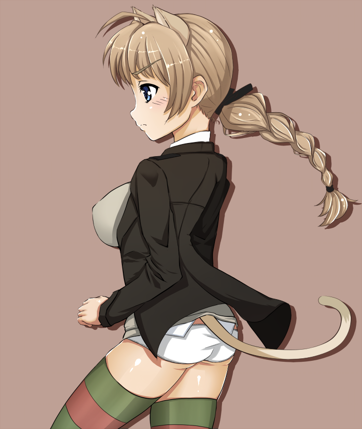 animal_ears ass blue_eyes braid brown_hair cat_ears long_hair lynette_bishop military military_uniform multicolored multicolored_clothes multicolored_legwear panties poco_(camper) single_braid solo strike_witches striped striped_legwear tail thighhighs underwear uniform world_witches_series