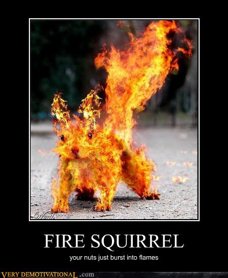 demotivational_poster epic fire squirel tagme what