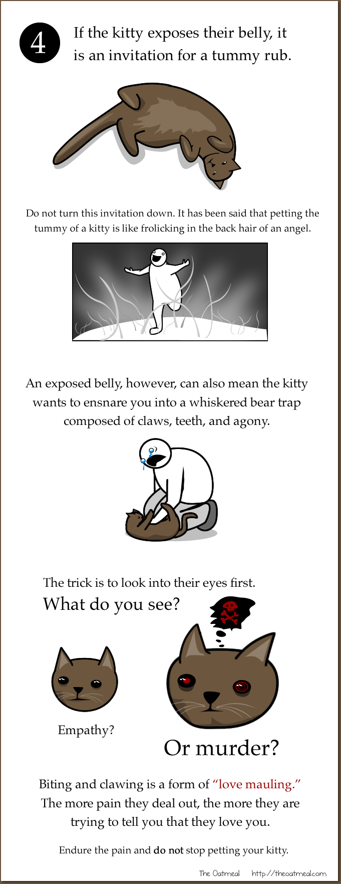 comic crying english_text feline funny how_to humor humour mammal pain pet plain_background text the_more_you_know the_oatmeal white_background