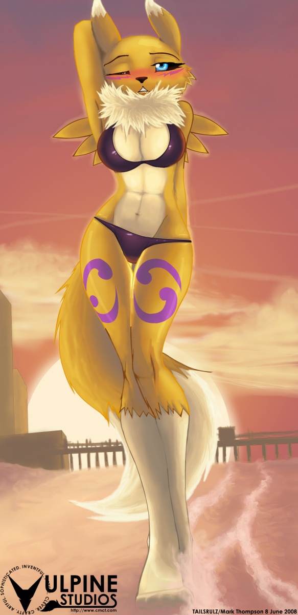 2008 anthro beach bikini canine cleavage digimon female fox renamon sand seaside skimpy solo tailsrulz