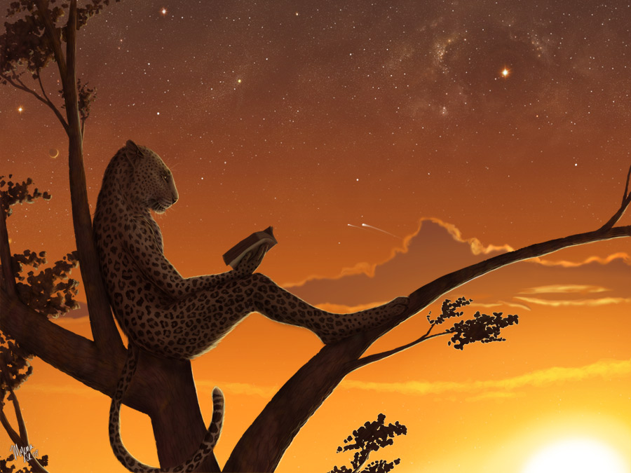 feline leopard myenia outside photorealism reading silhouette solo stars sunset tree