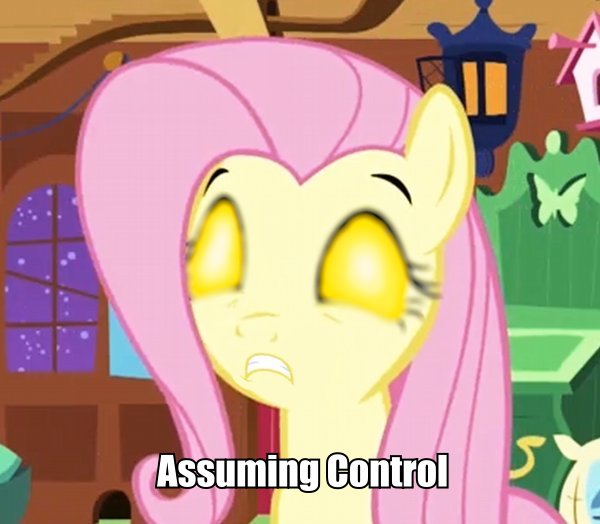 assuming_control bird_house birdhouse butter_fly butterfly english_text equine female feral flutter_shy_(mlp) fluttershy_(mlp) friendship_is_magic horse image_macro insect mammal mass_effect mass_effect_2 my_little_pony night pony sack solo text unknown_artist
