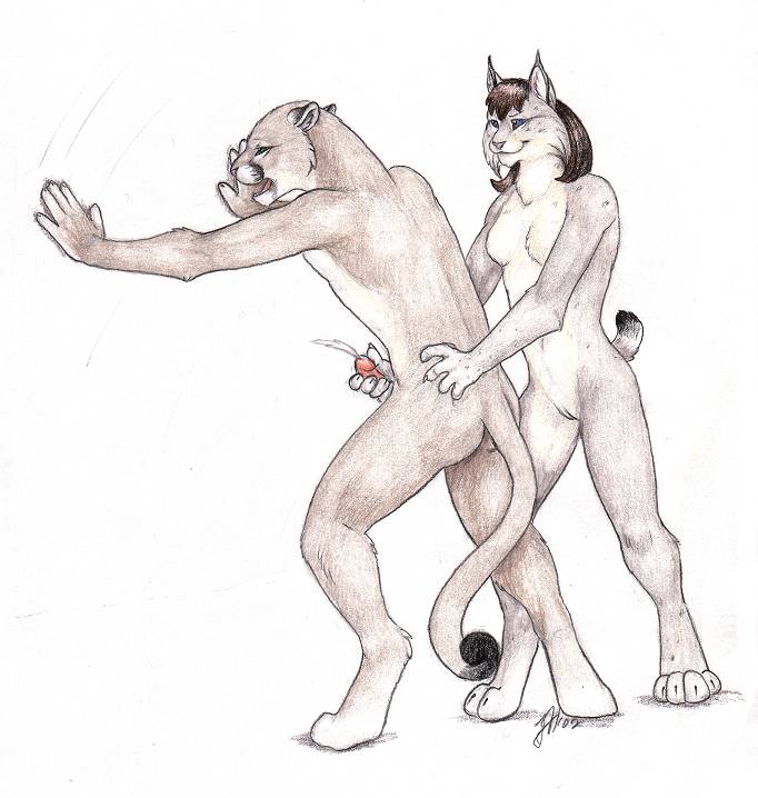 cougar feline female handjob linsey_huish lynx male masturbation penis puma pussy tail